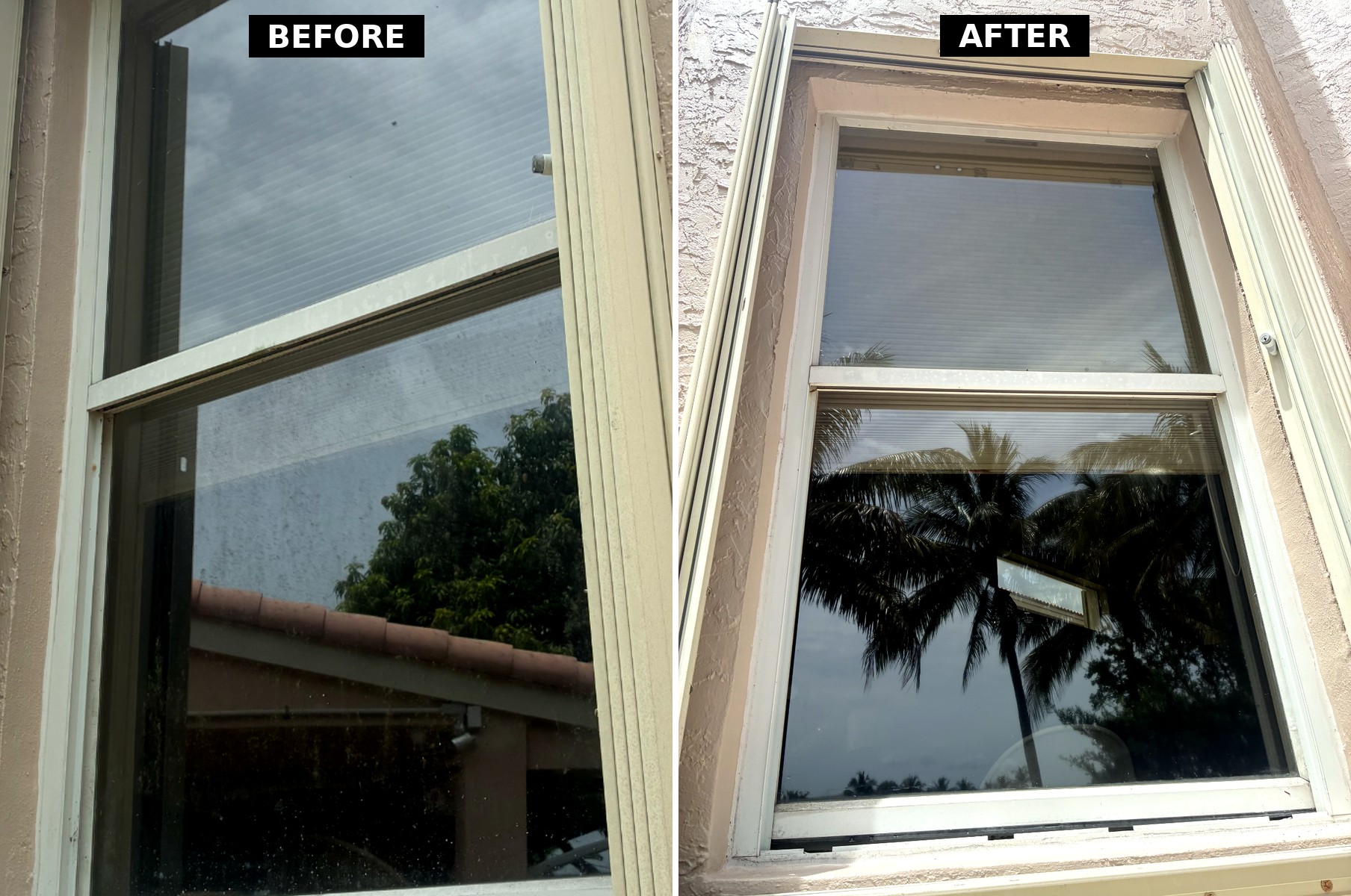 Before and after window cleaning comparison photo